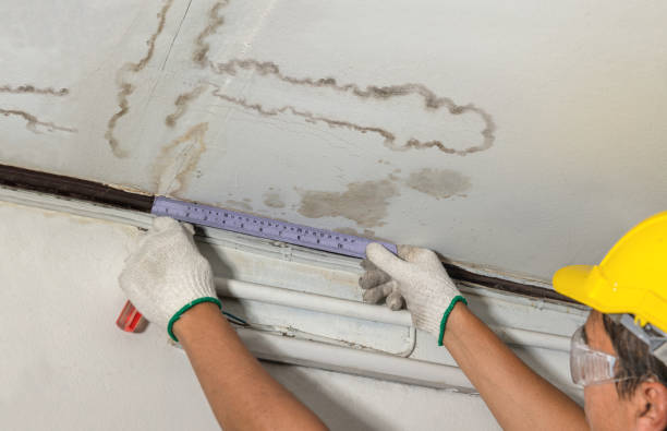 Reliable Flood Cleanup contractor in Round Hill, VA by Water Damage Irwin
